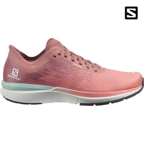 Coral Salomon Sonic 4 Accelerate Women's Running Shoes | PH 76049S